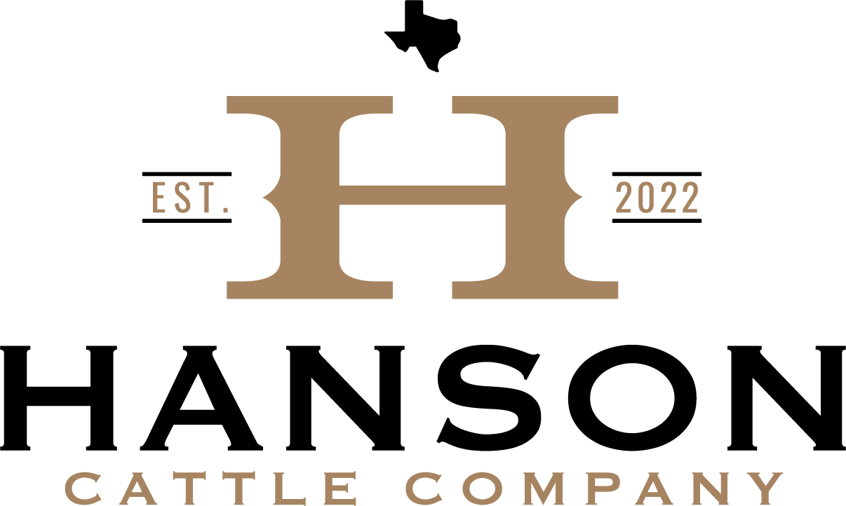 Hanson Cattle Co Large Gold